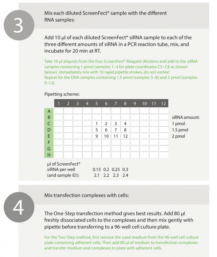 Manual_ScreenFect_siRNA_Incella_15-11_SCREEN_verbessert-page-022.jpg